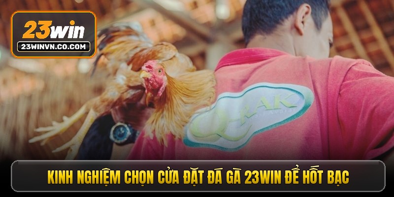 Kinh nghiệm chọn cửa đặt đá gà 23win để hốt bạc